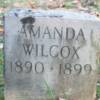 Amanda Wilcox 